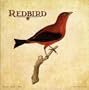 Redbird