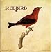 Redbird