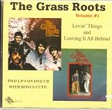 Lovin Things / Leaving It All Behind - Volume #1