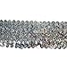 Expo International 10-Yard of 5-Row Starlight Hologram Stretch Sequin Trim, 1-3/4-Inch, Silver