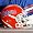 NCAA Riddell Florida Gators Authentic Game-Worn Open-Cage Football Helmet- (Large)