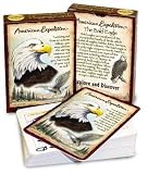 Eagle Playing Cards