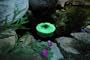 Floating Solar Powered Accent Light -Green