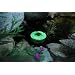Floating Solar Powered Accent Light -Green
