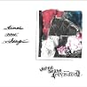 Image of album by Times New Viking