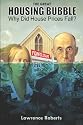 The Great Housing Bubble: Why Did House Prices Fall? (Volume 1)