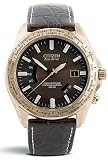 Citizen #CB0003-08X Men's Limited Edition Eco Drive Atomic Radio Controlled Perpetual Calendar Leather Strap Watch