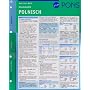 PONS Grammatik auf einen Blick. Polnisch