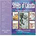 In the Streets of Calcutta: Story of Mother Teresa (Faith in Action)