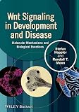 Wnt signaling in development and disease : molecular mechanisms and biological functions