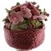 Corky and Company Pink and Green Granny's Garden flower top Hat