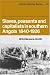 Slaves, Peasants and Capitalists in Southern Angola 1840-1926 (African Studies)