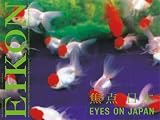 Produkt-Bild: EIKON. Internationale Zeitschrift f&uuml;r Photographie und Medienkunst /International Magazine for Photography and Media Art / Eyes on Japan: HEFT 67