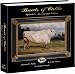 Breeds of Cattle, Updated & Revised 2nd Edition