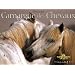 Camargue des Chevaux