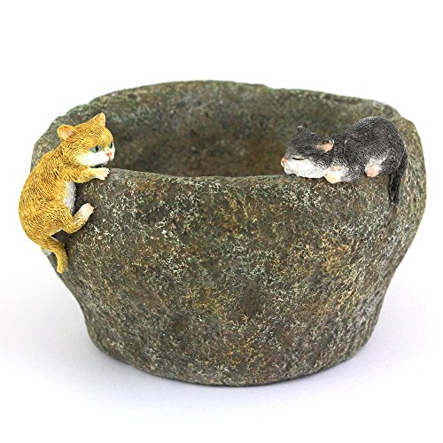 Top Collection 3.75-Inch Miniature Fairy Garden and Terrarium Kittens Playing on Functional Stone Flower Pot for Succulents, Mini