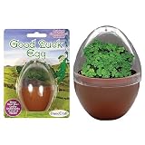 Good Luck Egg Micro-Terrarium