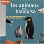 Les animaux de la banquise