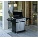 5 BURNER BBQ SAVANNAH