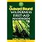 Leadership; First Aid