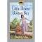 Little House Sequels!