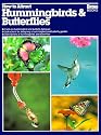 How to Attract Hummingbirds & Butterflies