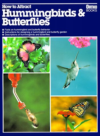 Insects
