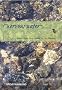 Nervous Waters: Variations on a Theme of Fly Fishing