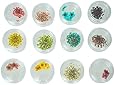 TOOGOO(R) 12 kinds dried flower nail art Ongles decoration