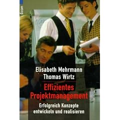 Effizientes Projektmanagement: Erfolgreich Konzepte entwickeln und realisieren