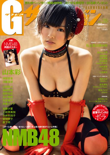 G (グラビア) ザテレビジョン 2013年 07月号 [雑誌]