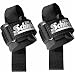 Schiek 1000 PLS Power Series Lifting Strap