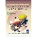 Mis observaciones clinicas sobre: el limon, el ajo y la cebolla (Spanish Edition)