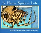 A House Spiders Life (Nature Upclose)