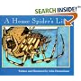 A House Spider's Life (Nature Upclose)