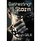 Gay and M/M romance I have read - List 13