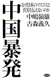 中国暴発―なぜ日本のマスコミは真実を伝えないのか