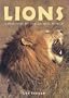 Lions (Portraits of the Animal World)