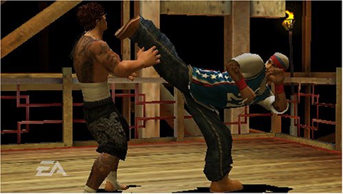 Def Jam Fight for the NY: The Takeover (PSP)