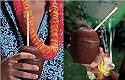 Tropical Coconut Cup 12-pk.
