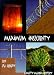 Search : Maximum Insecurity (Momento Mori Mystery)