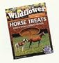 Wildflower "Carrot Crunch" Horse Treats 1Lb