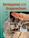 Bartagamen und Kragenechsen - Hubert Bosch