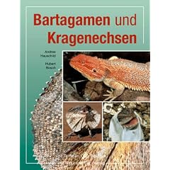Bartagamen und Kragenechsen