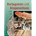 Bartagamen und Kragenechsen