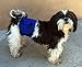 Belly Band for Male Dog Training and Incontinence (Blue Paw Print) (Medium: 17