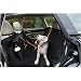 Kurgo Wander Hammock Dog Car Seat Cover Black