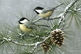 Chickadees and Pine Cones Indoor Outdoor Rug Doormat