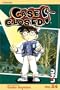 Case Closed, Vol. 24 (v. 24)