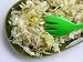 Early Cabbage ,sauerkraut - 24